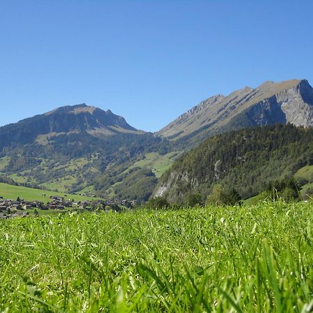Haus Alpina Hotell Au (Vorarlberg) Eksteriør bilde
