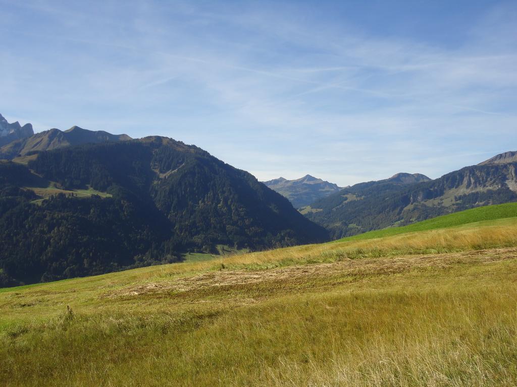 Haus Alpina Hotell Au (Vorarlberg) Eksteriør bilde