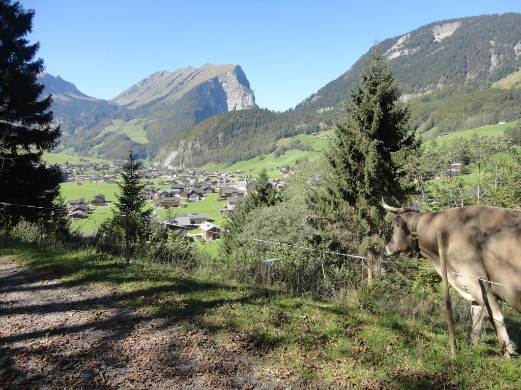 Haus Alpina Hotell Au (Vorarlberg) Eksteriør bilde