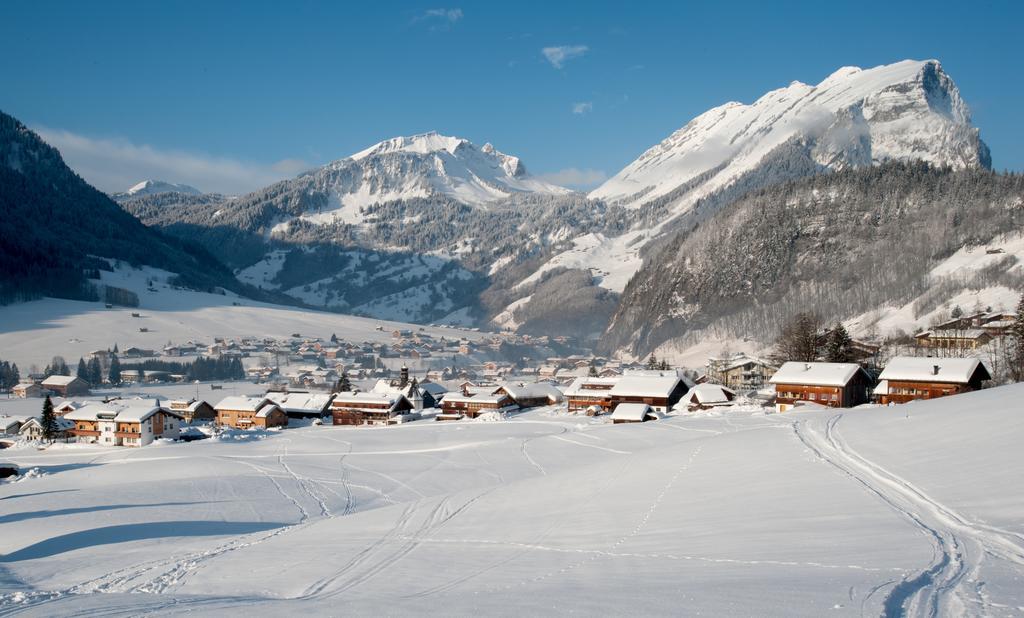 Haus Alpina Hotell Au (Vorarlberg) Eksteriør bilde