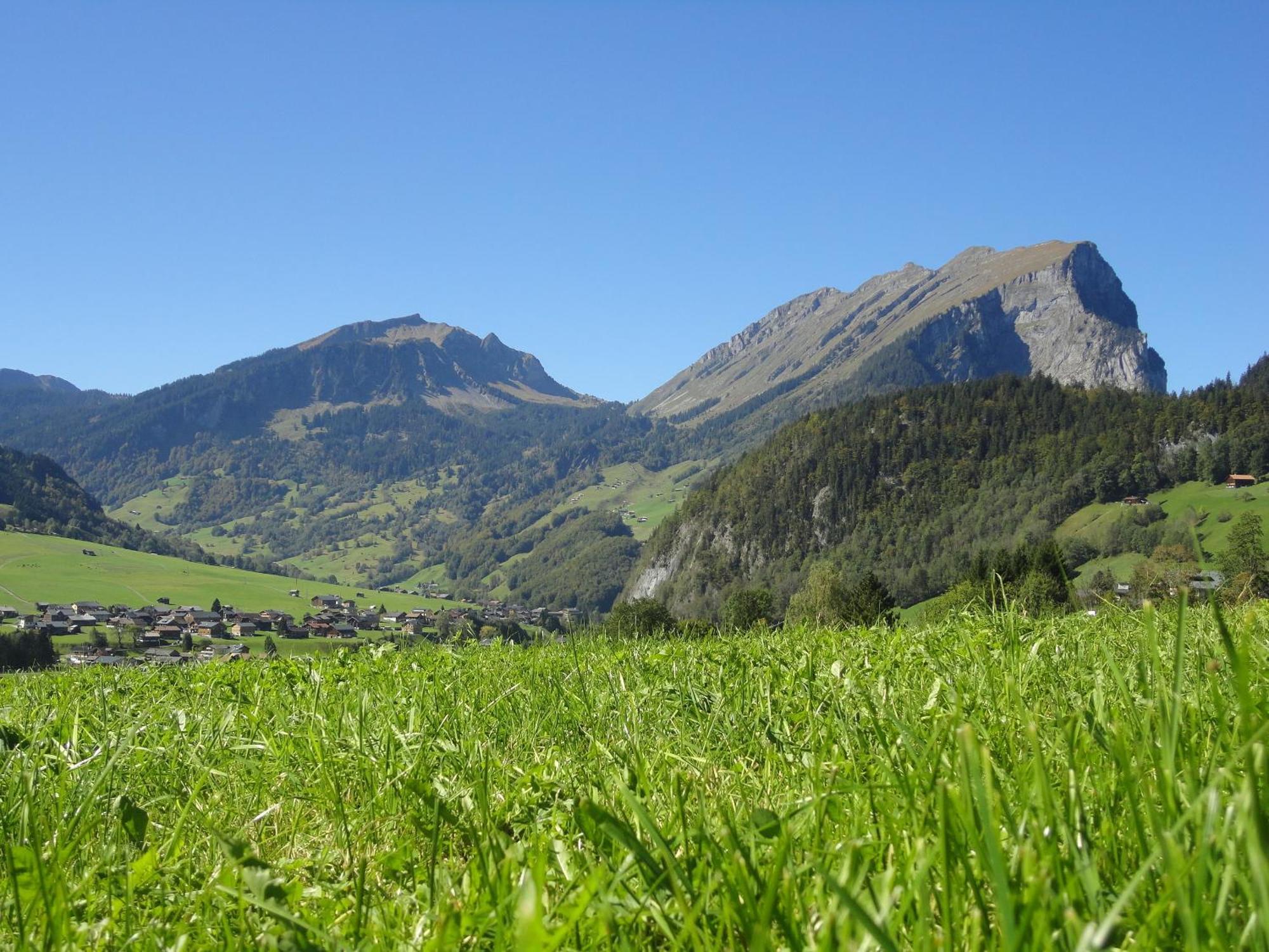 Haus Alpina Hotell Au (Vorarlberg) Eksteriør bilde